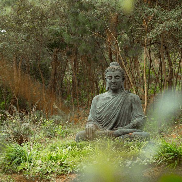Person meditating in a serene natural environment, symbolizing harmony.